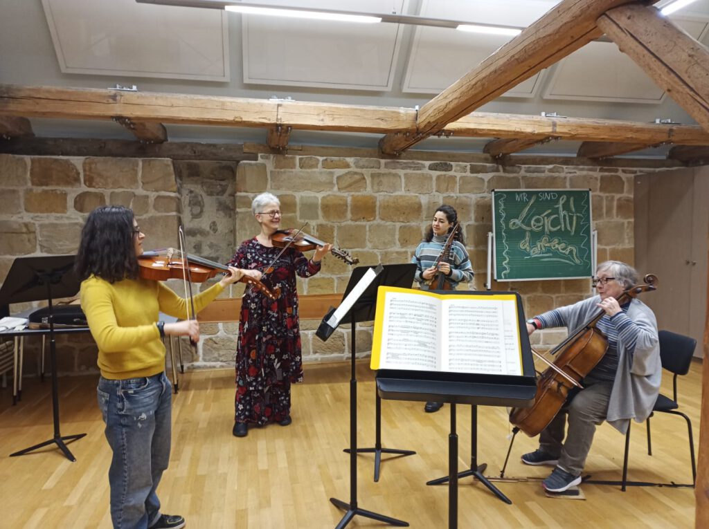 Februar 2026 - Kurs für Viola d'amore im Kloster Michaelstein